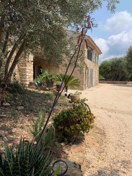 Maison Pipette Pipette Maison Le Castellet  Exteriér fotografie